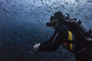 Scuba Diving - Where the day starts: CaboTrek’s meeting point and timing