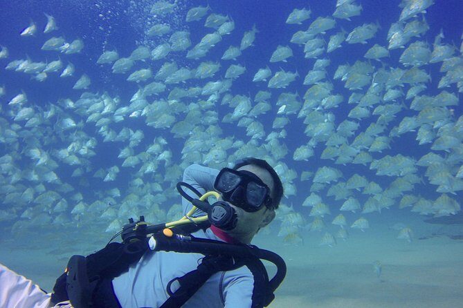 Scuba Diving - The boat experience: small-group energy and lots of coaching