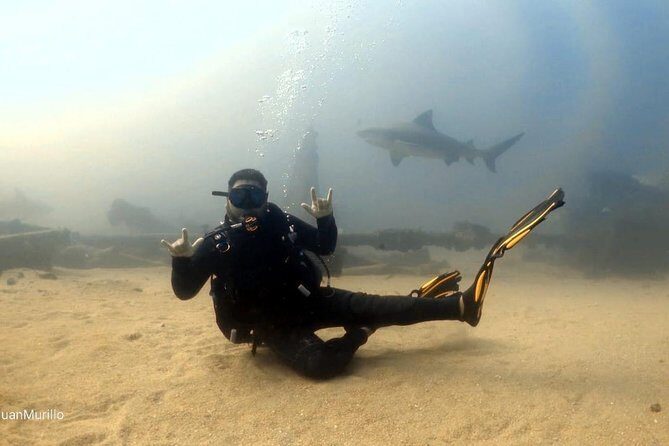 Scuba Diving adventure Cabo pulmo - Who This Cabo Pulmo Scuba Session Fits Best