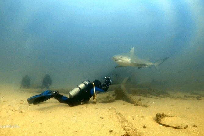 Scuba Diving adventure Cabo pulmo - Practical Tips That Make Your Morning Go Easier