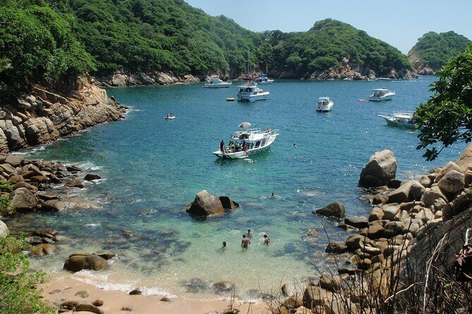Scuba Diving for Beginners in Acapulco - Who This 4-Hour Beginner Course Fits Best