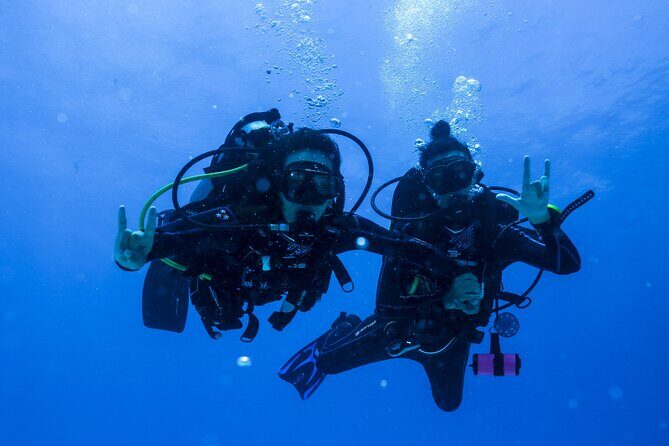 Scuba Diving for Beginners – Tulum Dive Machine - Equipment and included comforts: fewer rental headaches