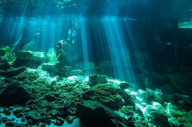 Scuba Diving in Cenote Dos Ojos from Playa del Carmen - Cenote Dos Ojos routes: Barbie Line and Bat Cave