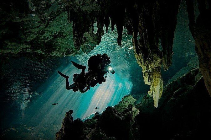 Scuba Diving in Cenote Dos Ojos from Playa del Carmen - Who should book this Cenote Dos Ojos experience (and who should skip it)