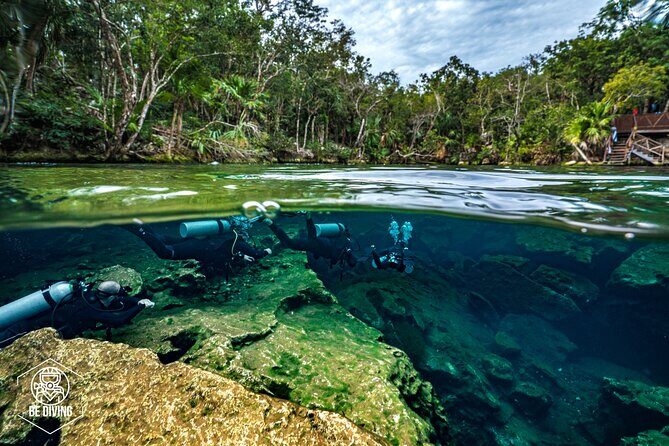 Scuba Diving in Cenotes - Cenote Scuba in Playa del Carmen: Why This Route Feels Different
