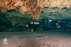 Scuba Diving in Cenotes - The Drive Between Playa and Tulum: A Straightforward Morning-to-Afternoon Plan