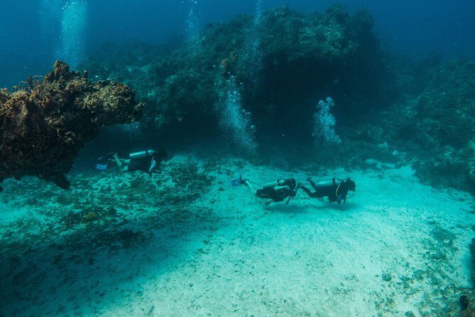 Scuba Diving in Cozumel Island - Open-Ended Ferry Time: Make Cozumel Fit Your Day