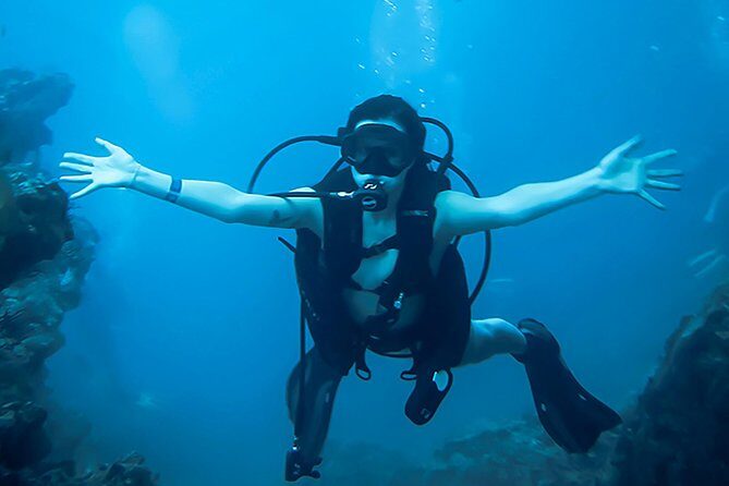 Scuba Diving Marietas Islands - Price and Value: What $195.71 Buys You (And What It Doesn’t)