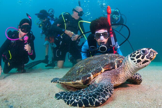 Scuba Diving Puerto Vallarta Undersea Arcos or Marietas - Price and Logistics: What $125 Covers (and What Might Cost Extra)