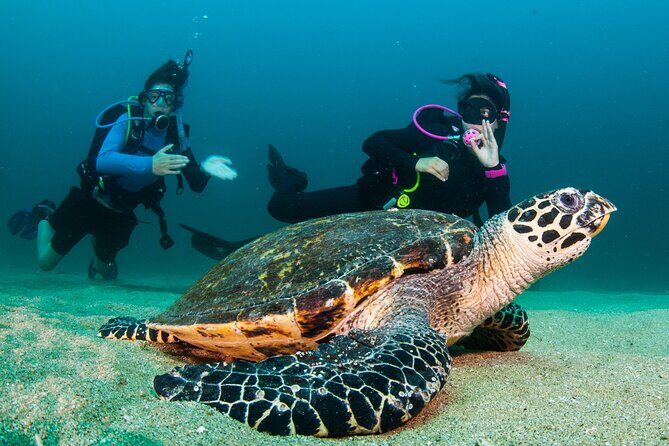 Scuba Diving Puerto Vallarta Undersea Arcos or Marietas - Boat Comfort and Group Size: Why It Feels Less Chaotic