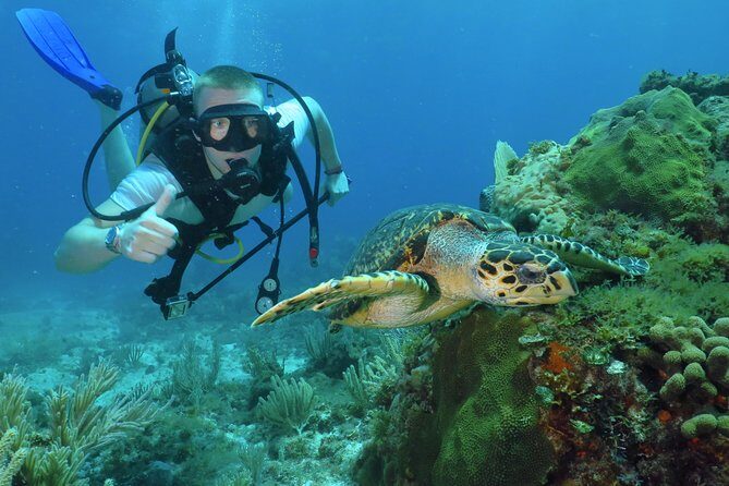 Scuba Diving Under Water Museum and Reef for beginners - How the day actually flows