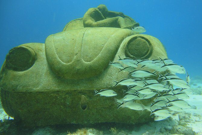 Scuba Diving Under Water Museum and Reef for beginners - Key points I’d base my decision on