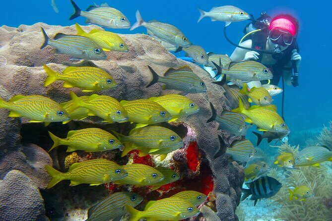 Scuba Diving Under Water Museum and Reef for beginners - Stop 2: heading toward Isla Mujeres and your second open-water tank session