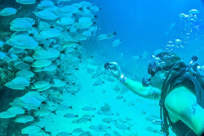 Scuba Diving with a 5-Star PADI Center in Puerto Vallarta - Las Caletas: caves, tunnels, and reef life without the fuss