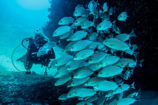 Scuba Diving with a 5-Star PADI Center in Puerto Vallarta - The boat ride, lunch, and how the day stays fun