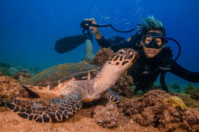 Scuba Diving with a 5-Star PADI Center in Puerto Vallarta - Price and fees: what the $119 doesn’t include