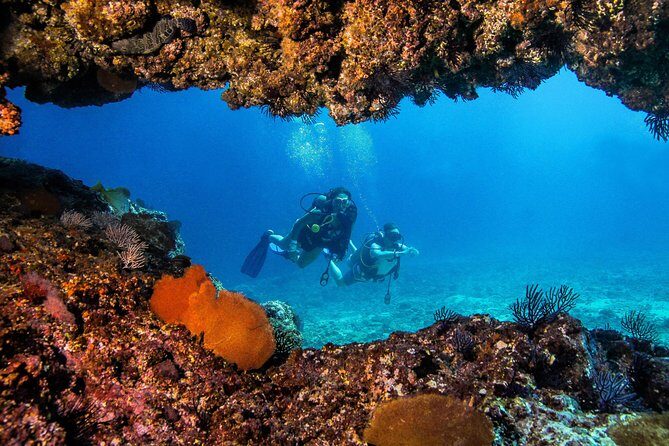 Scuba Diving with a 5-Star PADI Center in Puerto Vallarta - Timing reality check: the schedule vs. your actual underwater time