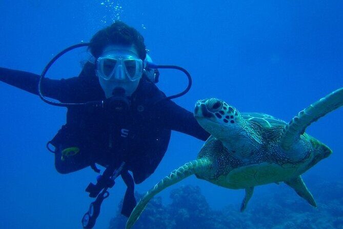 Scuba Referral Dives & Beach Club with Transportation In Riviera Maya - What a “Referral” SCUBA Course Means at Maroma