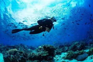 Scuba Referral Dives & Beach Club with Transportation In Riviera Maya - The Two Days on the Water: Four Open-Water Boat Sessions