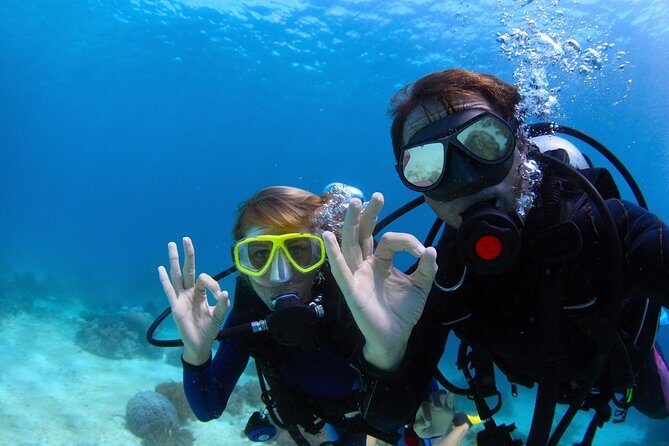 Scuba Referral Dives & Beach Club with Transportation In Riviera Maya - Hotel Pickup, Marina Check-In, and How the Day Actually Runs