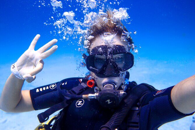 Scuba Referral Dives & Beach Club with Transportation In Riviera Maya - Gear, Wetsuit, and What’s Included (and Why It Matters)