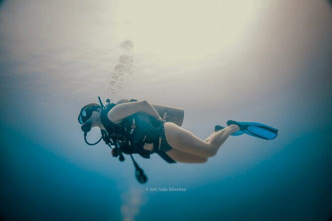 Scuba Referral Dives & Beach Club with Transportation In Riviera Maya - Price and Value: Is $300 for Four Sea Sessions and Transfers Worth It?