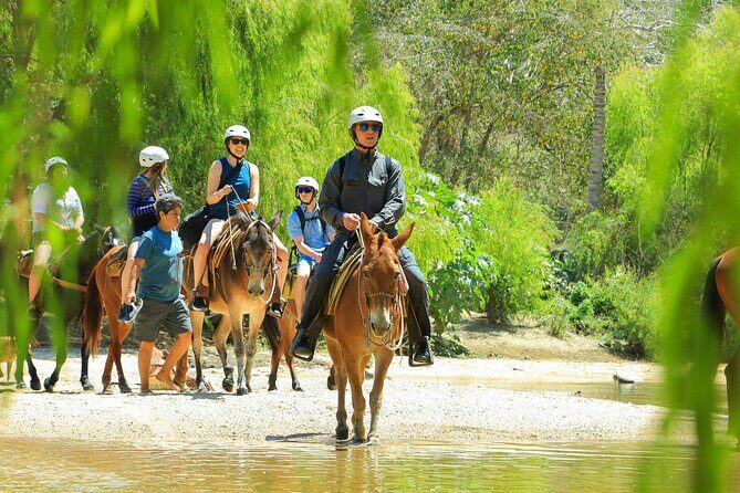 Sea Safari & Beach BBQ at secluded Pizota jungle beach - Yelapa fishing village + river-ride horseback: plan for movement and sun