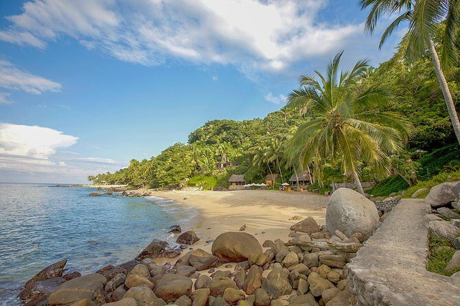 Sea Safari & Beach BBQ at secluded Pizota jungle beach - Horses, dust, and animal care: how to judge whether this fits your comfort level