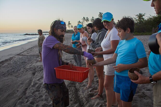 Sea Turtle Release – A Puerto Vallarta Conservation Adventure - Arrival at Sea Turtle Camp: Nest Monitoring and Hatchling Care