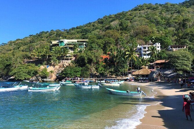 Selva y Playas Exóticas, Senderismo en Puerto Vallarta - Key highlights you’ll actually care about