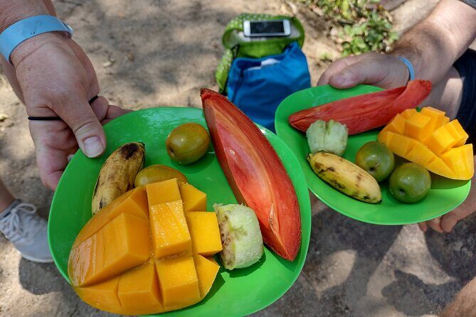 Selva y Playas Exóticas, Senderismo en Puerto Vallarta - Selva-to-playa hiking in Puerto Vallarta, in plain terms