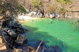Selva y Playas Exóticas, Senderismo en Puerto Vallarta - Getting from the Romantic Zone to Boca de Tomatlán (without stress)