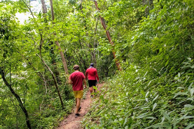 Selva y Playas Exóticas, Senderismo en Puerto Vallarta - What you get for $55: value math that makes sense
