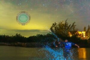 Shared Bioluminescence kayak tour in Holbox - Bioluminescence brightness: how to set expectations and still be happy