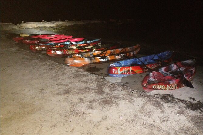 Shared Bioluminescence kayak tour in Holbox - Guides who actually make the night worth it