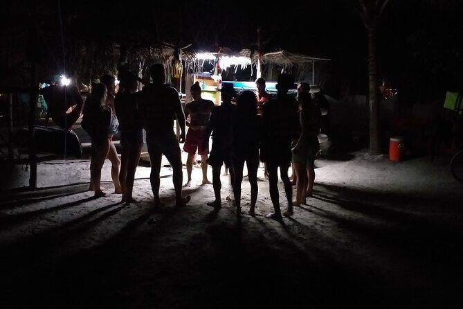 Shared Bioluminescence kayak tour in Holbox - Group size and safety: why max 14 matters