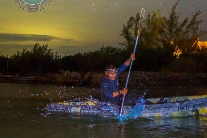 Shared Bioluminescence kayak tour in Holbox - Who should book this Holbox bioluminescence kayak tour