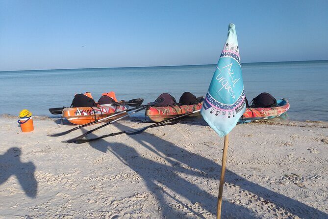 Shared mangroves kayak tour in Holbox - Price and value on Holbox: is $69.30 a good deal?