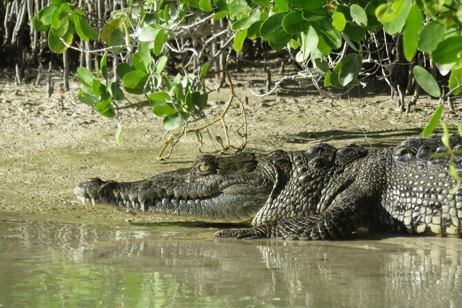 Shared mangroves kayak tour in Holbox - Getting to Azul Tourquesa Holbox and keeping the day simple