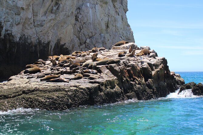 Shared Tour to the Arch of Cabo San Lucas - About the Restroom and the Glass-Bottom Reality Check