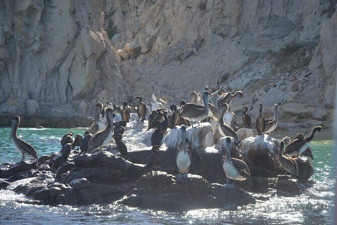 Shared Tour to the Arch of Cabo San Lucas - Photo Sales: How to Enjoy It Without Losing the Mood