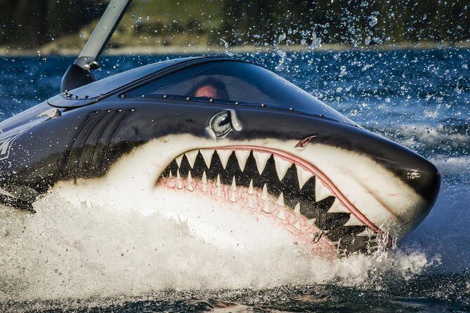 Shark Ride in Cancun - Seabreacher - Where to meet: Yachtlife Mexico on the Zona Hotelera