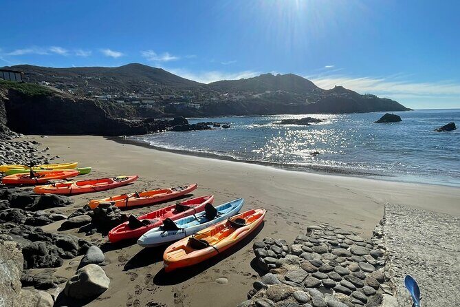 Shore Excursion: La Bufadora Blowhole, Kayak Adventure & Markets - Quick take: what makes this excursion work