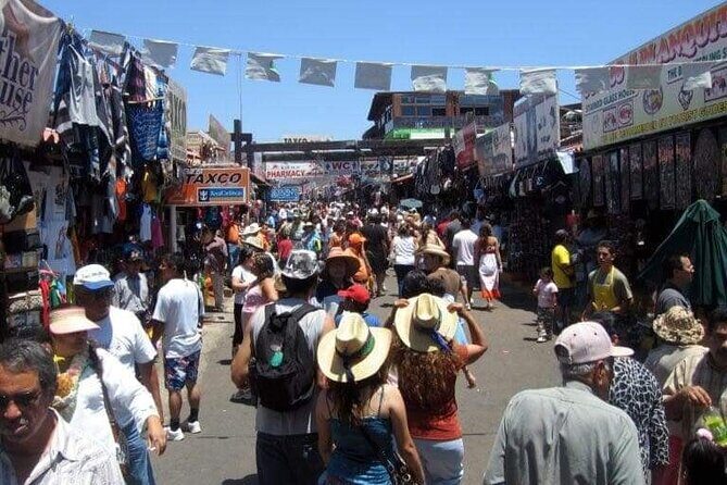 Shore Excursion: La Bufadora, Markets & Ensenada City Sights - Price and value: what $45 buys you