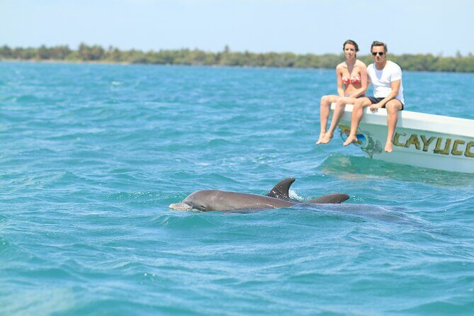 Sian Ka'an Adventure Full Day Trip to Punta Allen - Key Highlights I’d Target on This Sian Ka’an Day Trip
