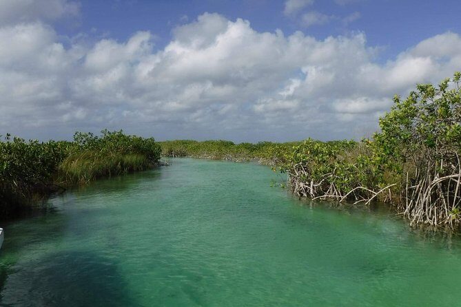 Sian Ka'an Adventure (Private, Full Day) - The guide makes the day: Eli, Rodrigo, Nelson, Derek