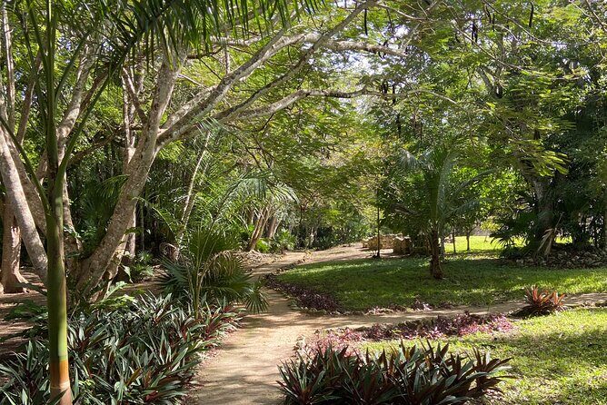 Sian Ka'an Adventure (Private, Full Day) - Snacking, lunch, and the small comfort details that matter