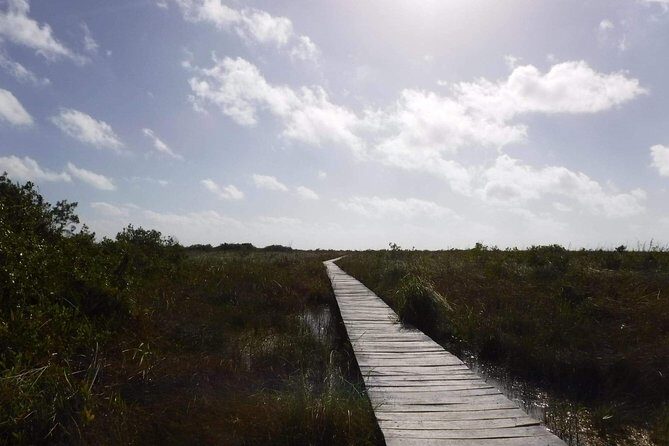Sian Ka'an Adventure (Private, Full Day) - What to pack for a boat-and-ruins day in Tulum
