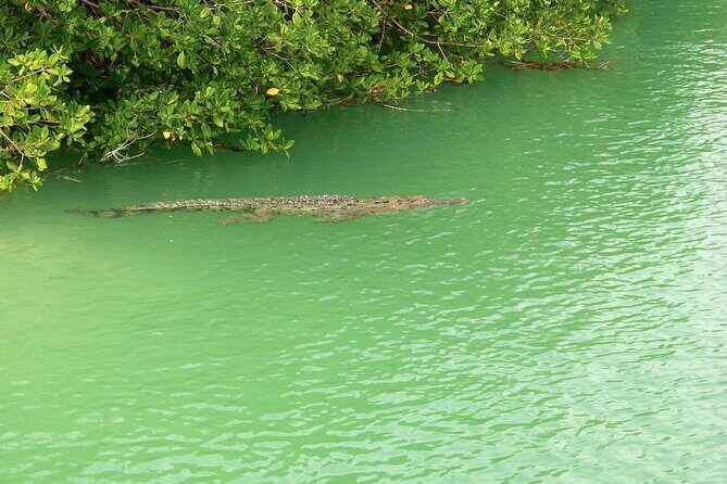 Sian Ka'an Boat Experience from Riviera Maya to Tulum - Sian Ka’an Stop: The Reserve Experience Starts Here