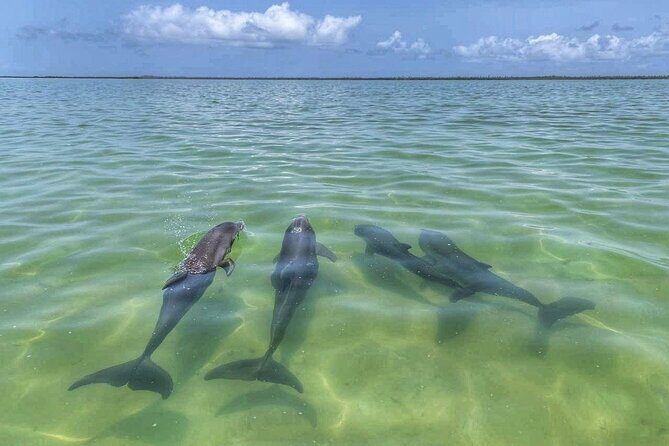 Sian Ka'an Boat Experience from Riviera Maya to Tulum - Snorkeling and the Natural Pool in Clear Water